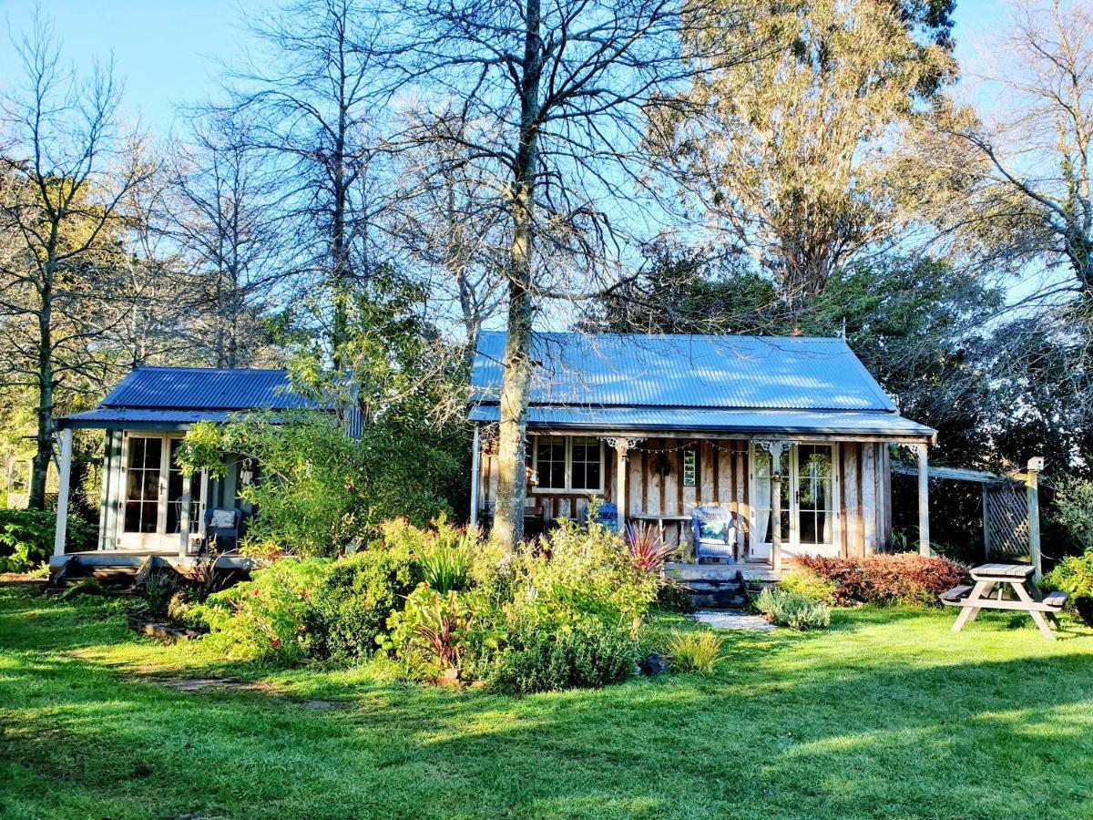 Bumblebee Cottage Greytown Exteriér fotografie