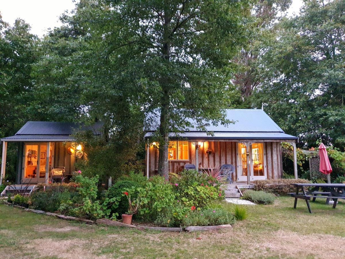 Bumblebee Cottage Greytown Exteriér fotografie