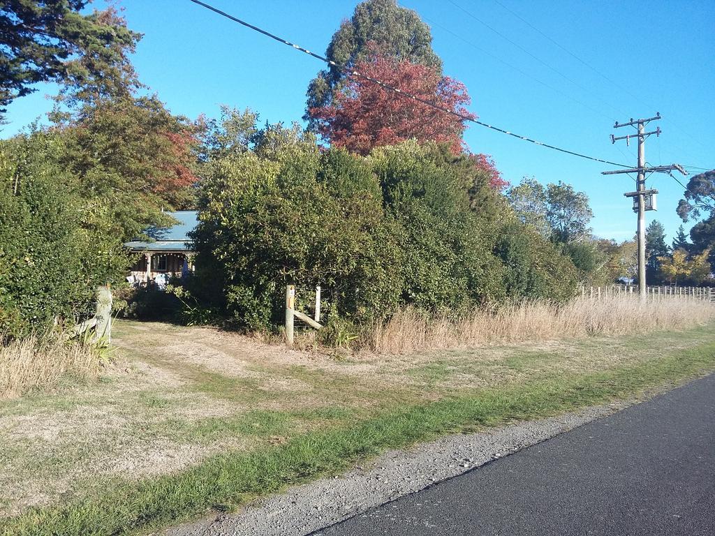Bumblebee Cottage Greytown Exteriér fotografie